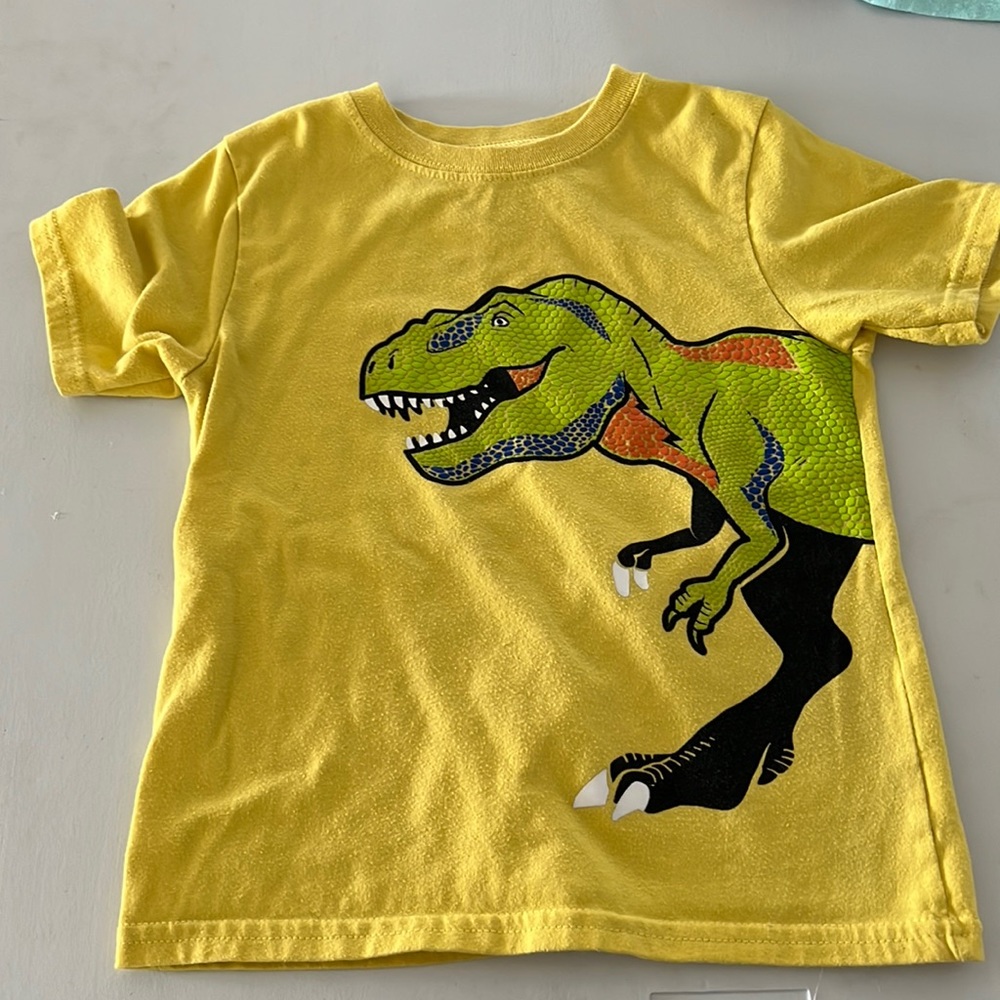 Boys Tee Dino